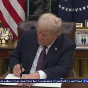 New Trump executive orders crack down on immigration