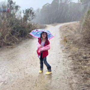 Rain and Hail Sweep Through the Central Coast