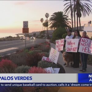 Rancho Palos Verdes landslide victims protest for federal aid