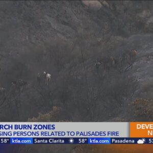 Crews on horseback search for missing persons related to Palisades Fire