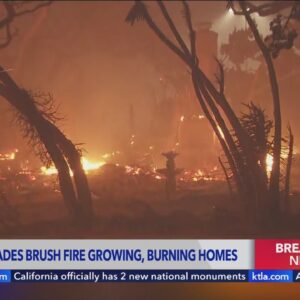 KTLA Team Coverage: Palisades Fire burns over 2,900 acres, threatening homes, forcing evacuations