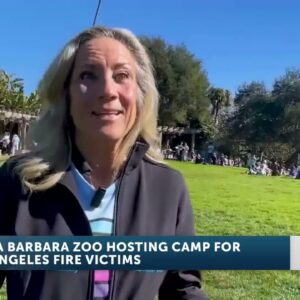 Santa Barbara Zoo hosts 3-day camp for kids displacd by LA fires