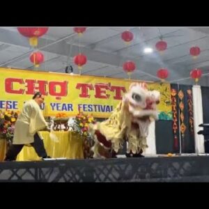 Vietnamese New Year Festival celebrates 25 years in Ventura 1224659