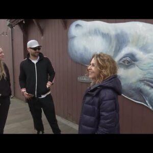 Whale image on Moby Dick restaurant in need of restoration