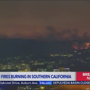 Wind-driven Hollywood Hills fire