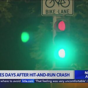 Woman tragically dies day after hit-and-run crash