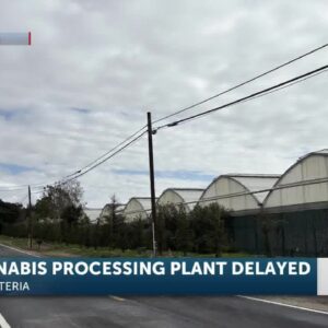 Another Delay For Graham Farrar’s Cannabis Processing Building