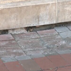 Broken bricks getting replaced in downtown Santa Barbara