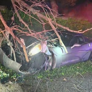 Driver hurt after speeding in San Luis Obispo Saturday night