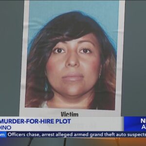 5 men arrested in murder-for-hire plot involving prominent Southern California businesswoman, her es