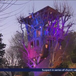 Iconic tree house in Sherman Oaks to be torn down