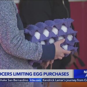 Some grocers limiting egg purchases