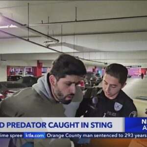 Suspected child predator caught in sting operation