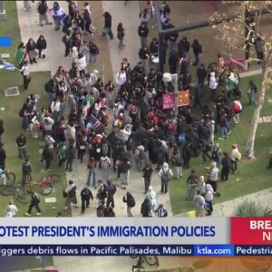 Violence breaks out at protest against Trump immigration policy