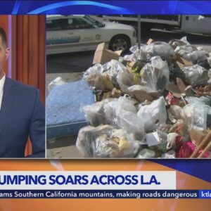 L.A. illegal dumping reports spike