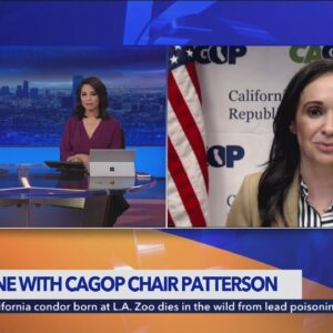 CAGOP Chair Jessica Millan Patterson on the Golden State, President Trump, Gov. Newsom, and more