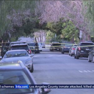 Man shoots, kills brother to save mother in Beverly Grove