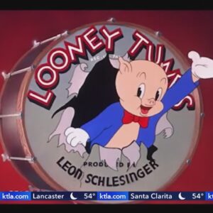 'Max' says that's all folks to 'Looney Tunes'