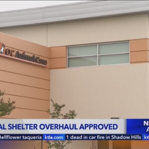 O.C. animal shelter overhaul approved