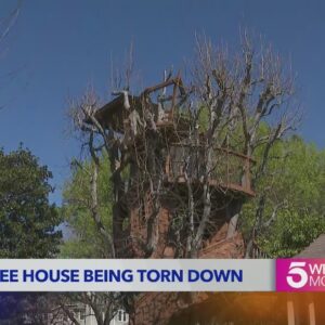 Demolition of The Simpsons-inspired treehouse in front of L.A. home begins 