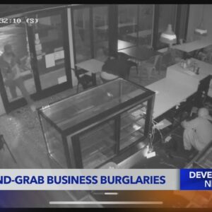 Pico-Robertson shops hit by smash-and-grab burglars