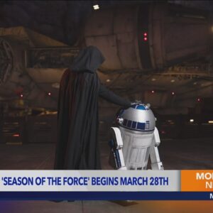 Season of the Force brings new nighttime show, character appearances, food to Disneyland