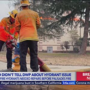 Report: LAFD didn't tell DWP about hydrant issue