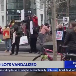 Anti-DOGE protestors gather outside Tesla stores, targeting Elon Musk's bottom line