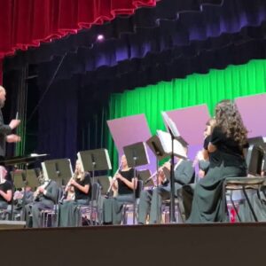 Student musicians perform in VUSD Music Festival