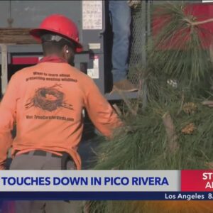 Tornado touches down in Pico Rivera