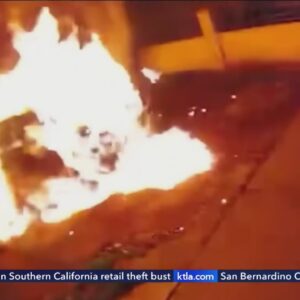 Video shows arson suspect accidentally set himself on fire