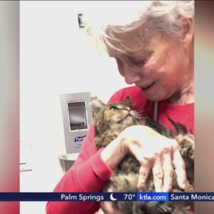 Woman reunited with cat presumed lost in Palisades Fire